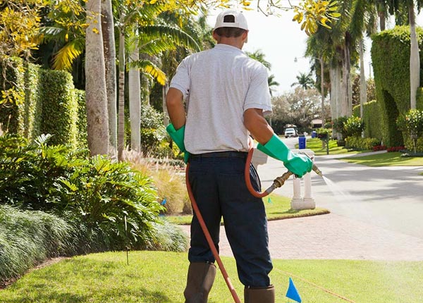 About East Springfield PA Pest Control